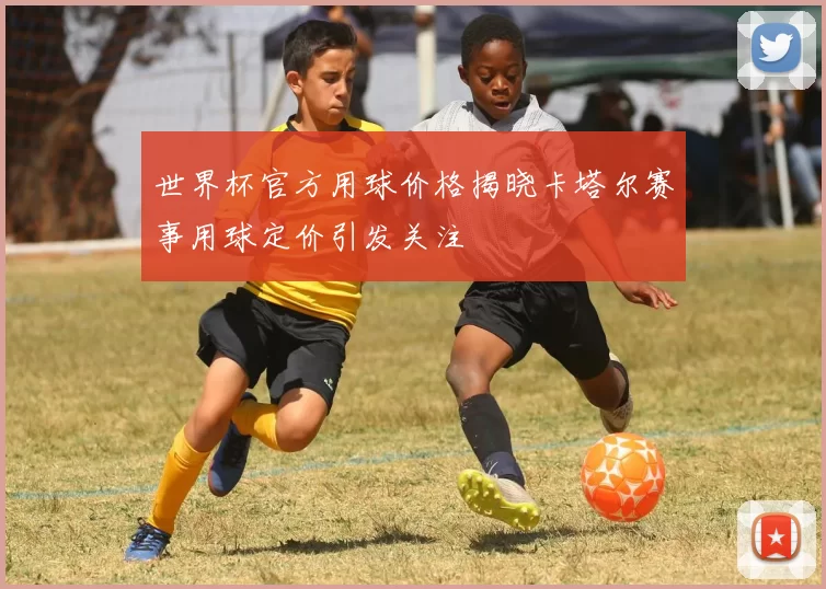世界杯官方用球价格揭晓卡塔尔赛事用球定价引发关注