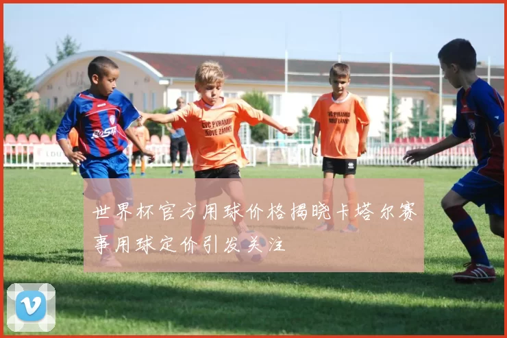 世界杯官方用球价格揭晓卡塔尔赛事用球定价引发关注