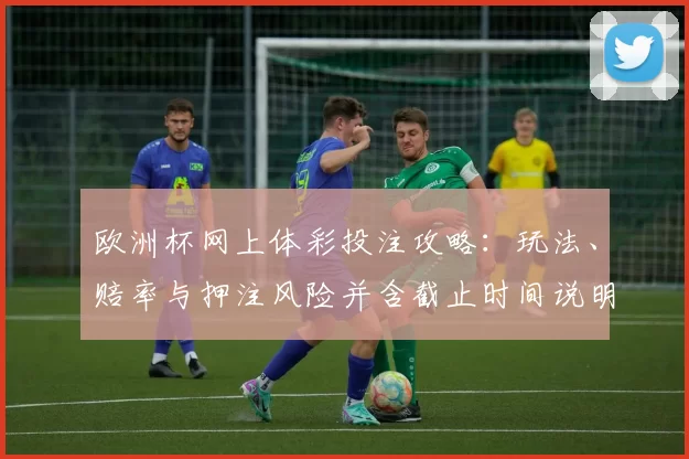 欧洲杯网上体彩投注攻略：玩法、赔率与押注风险并含截止时间说明