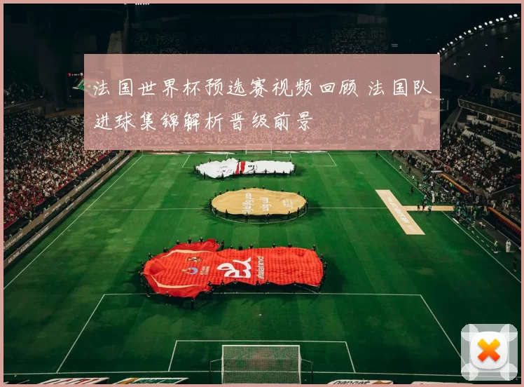 法国世界杯预选赛视频回顾 法国队进球集锦解析晋级前景
