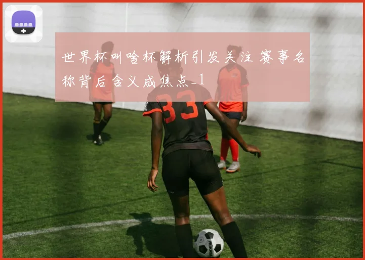 世界杯叫啥杯解析引发关注 赛事名称背后含义成焦点_1