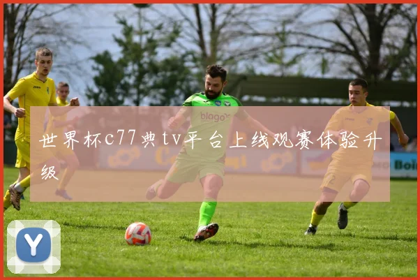 世界杯c77典tv平台上线观赛体验升级
